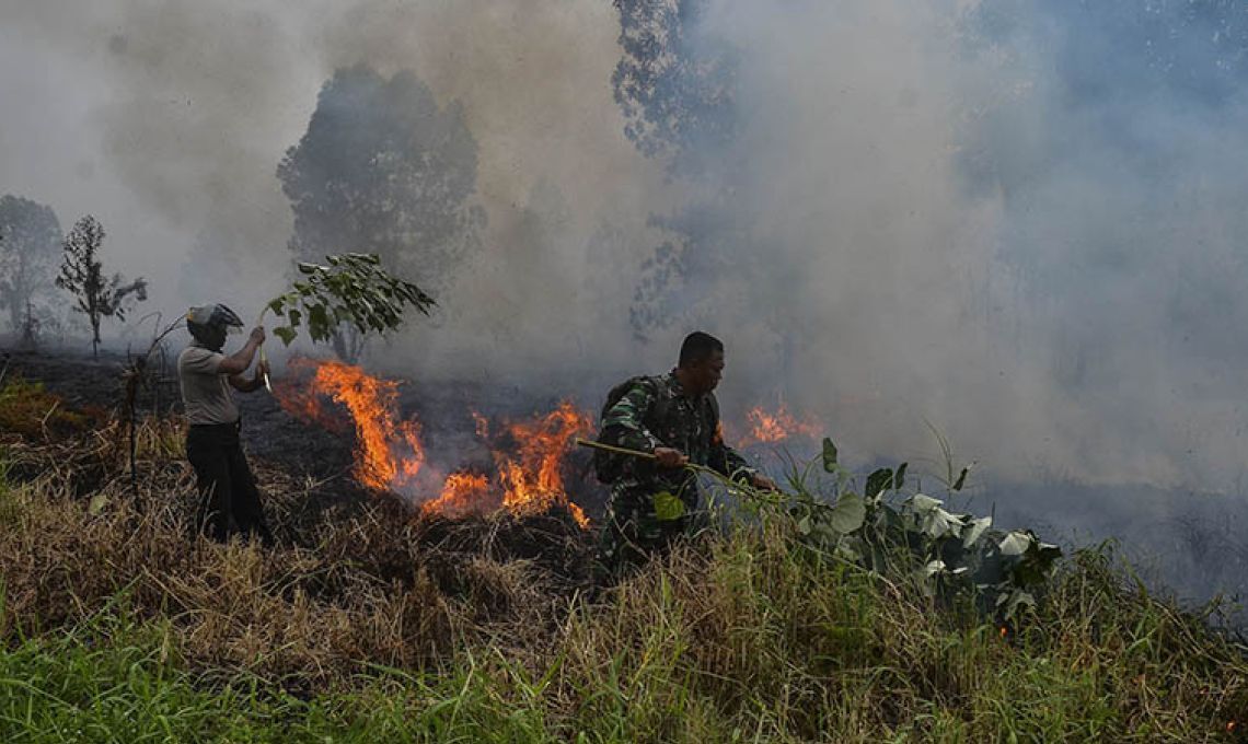 Tiga Kabupaten Di Riau Mengeluarkan Peringatan Darurat Kebakaran Hutan.