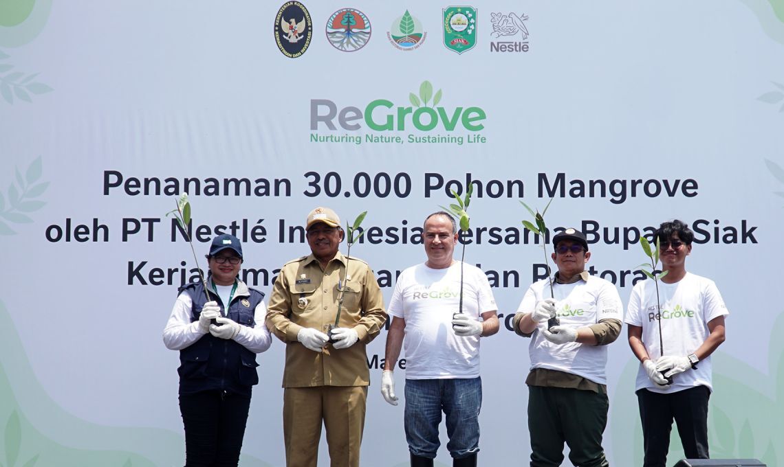 Nestlé Dan BRGM Berkolaborasi Dalam Restorasi Hutan Bakau Di Siak.