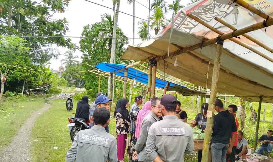 Pemerintah Aceh Selatan Mengirimkan Tim Kesehatan Ternak Ke Acara Adat Mughan.